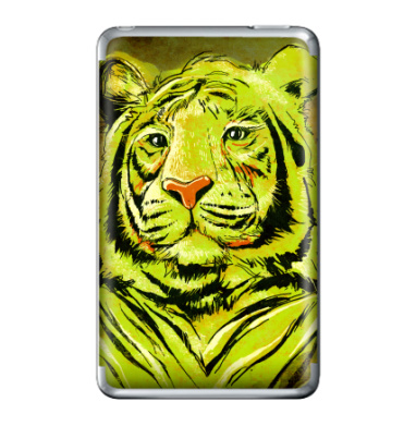 Тигры - Виниловые наклейки на iPod Classic, страница 25