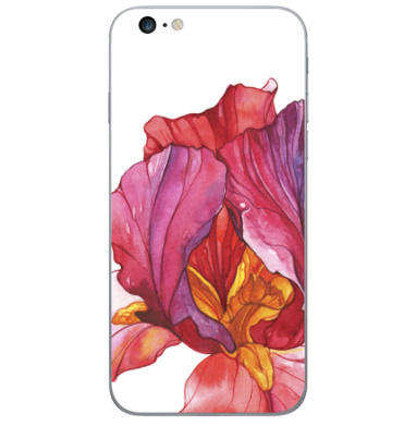 Яркий акварельный цветок ириса - Виниловые наклейки на iPhone 6 plus - купить в Москве, страница 40
