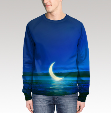 Moonlight / Лунный свет, Свитшот мужской 3D