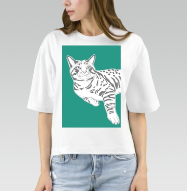 Серенгети, Футболка женская оверсайз Mido