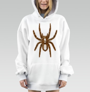 Коричневый паук птицеед в художественной форме на сером фоне, Hoodie Mjhigh Dig, оверсайз, утепленная