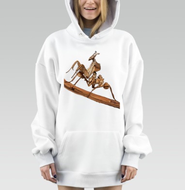 Коричневый богомол на ветке с естественной реалистичностью, Hoodie Mjhigh Dig, оверсайз, утепленная