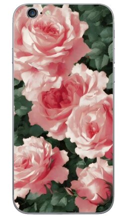Пышный бесшовный паттерн с цветением роз - Виниловые наклейки на iPhone 6, 6s - купить в Москве, страница 3