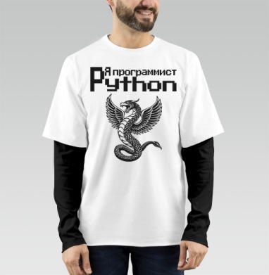 Мощный монохромный крылатый змей символизирует программист Python принт, Футболка мужская лонгслив OneOne
