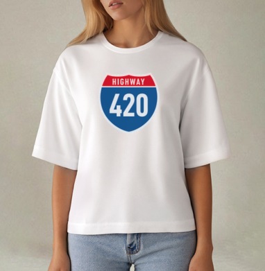 Дорога на закате с шоссе четыреста двадцать, Футболка женская оверсайз Mido