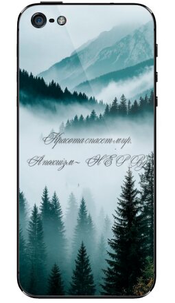 Атмосферная открытка с ироничной цитатой на фоне природы - Виниловые наклейки на iPhone 5 - купить в Москве, страница 45