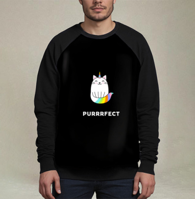Милый единорог-кот с радужным рожком PURRRFECT, Свитшот мужской 3D / хлопок