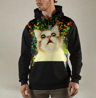 Кот в шоке, Толстовка мужская Regular 3D