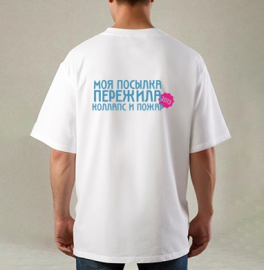 Футболка с юмористической надписью «Моя посылка пережила», Футболка / Мужская / Оверсайз / С принтом на спине