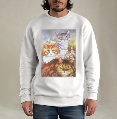 Из жизни котиков - Магазин футболок silk