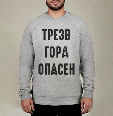 Ироничный принт с надписью «ТРЕЗВ ГОРА ОПАСЕН», Свитшот мужской меланж начес/петля