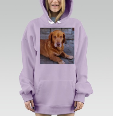 Коричневая собака лежит спокойно на тротуаре городской среды, Hoodie Mjhigh Dig Mel, Fiolet, утепленная
