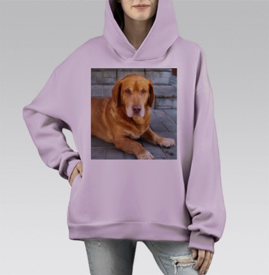 Коричневая собака лежит спокойно на тротуаре городской среды, Hoodie Mono Fiolet, оверсайз, утепленная