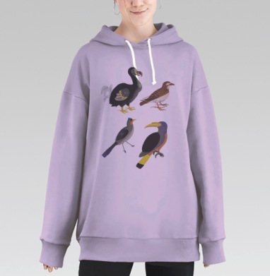 Средневековые птицы, Hoodie Long Oversize Fiolet